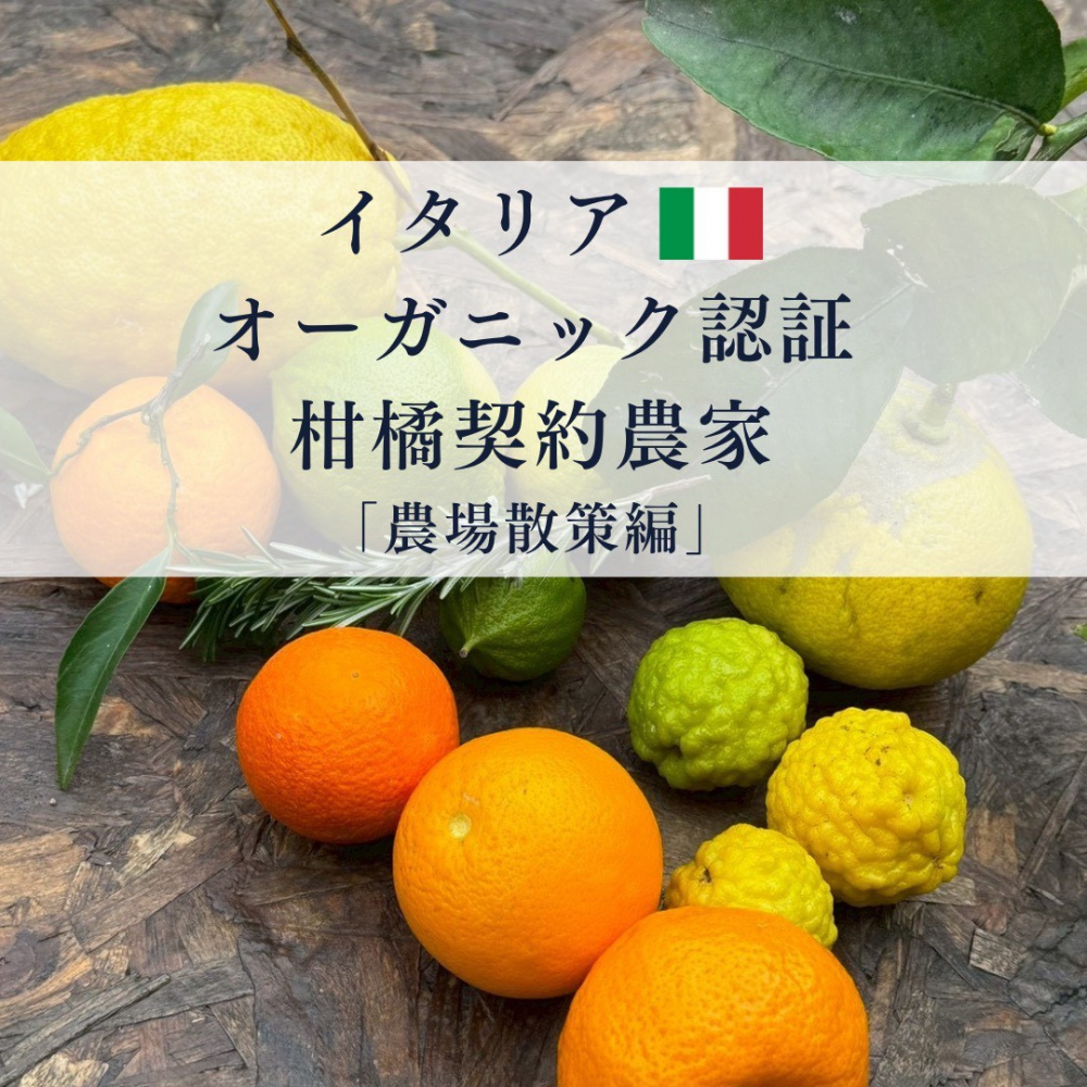 1月のオンラインフォーラム・2月オンラインフォーラムのご案内（2/28）